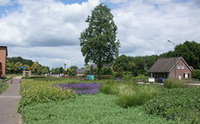 Onderhoudsarm plantsoen Boxmeer - juni 2014